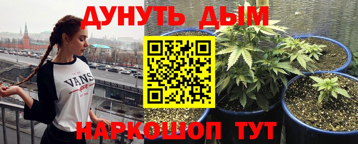 Канабис THC 21%  МАРИХУАНА SATIVA & INDICA  Кимры  Вход с VPN 